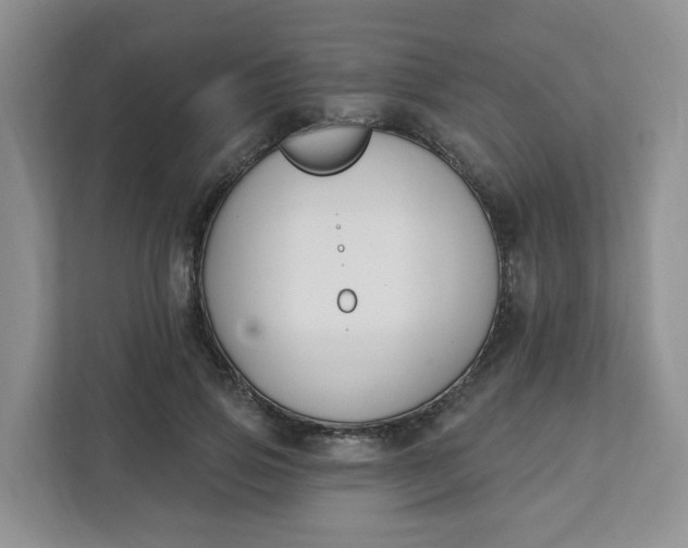 X0000111890741200908061333