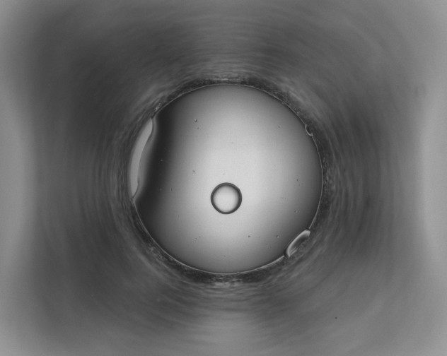 X0000111890744200908061333