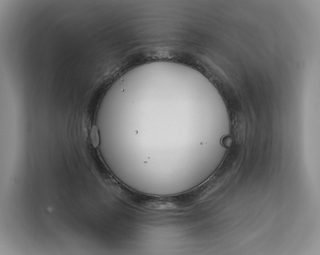 X0000111890747200908061333