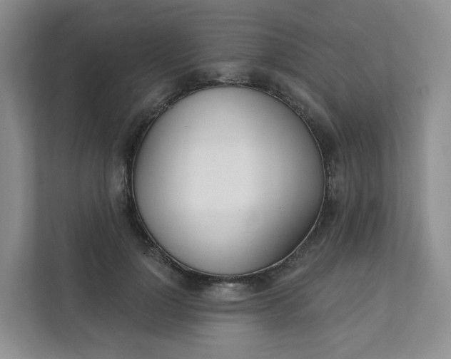 X0000111890748200908061333