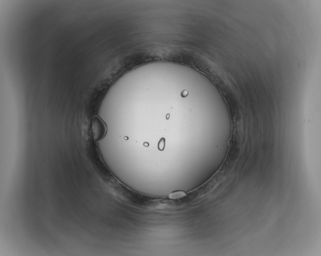 X0000111890750200908061333