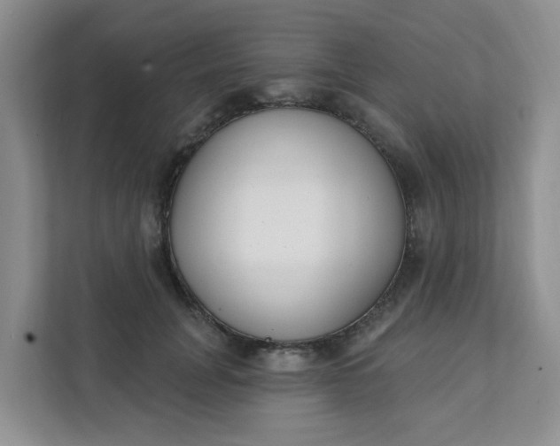 X0000111890751200908061333