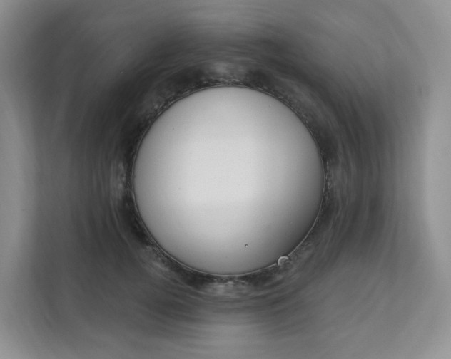 X0000111890752200908061333