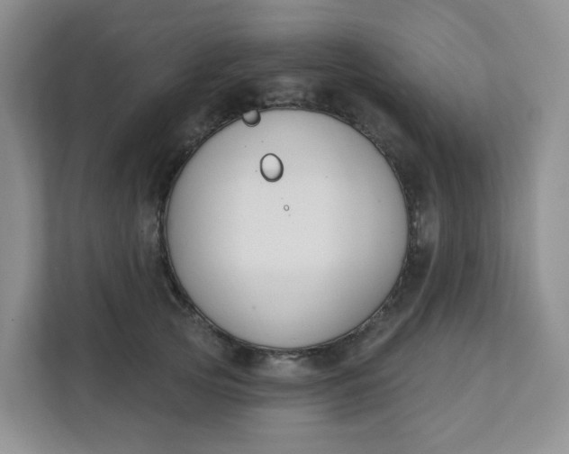 X0000111890753200908061334