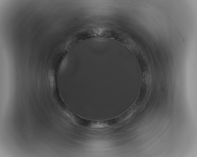 X0000111890754200908061334