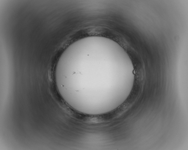 X0000111890755200908061334