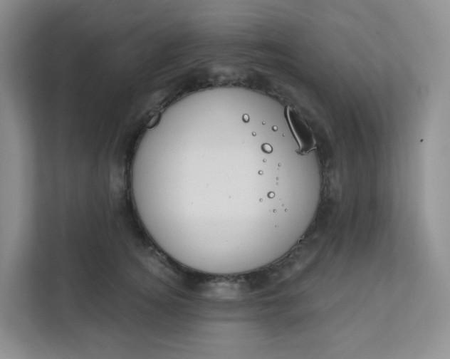 X0000111890756200908061334