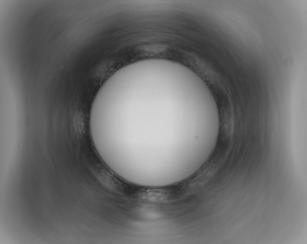 X0000111890758200908061334