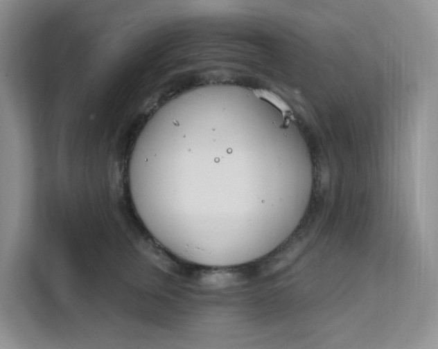 X0000111890759200908061334