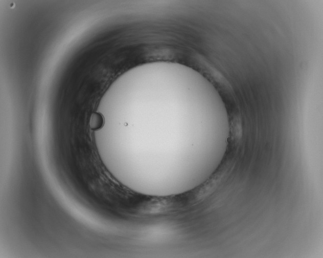 X0000111890764200908061334