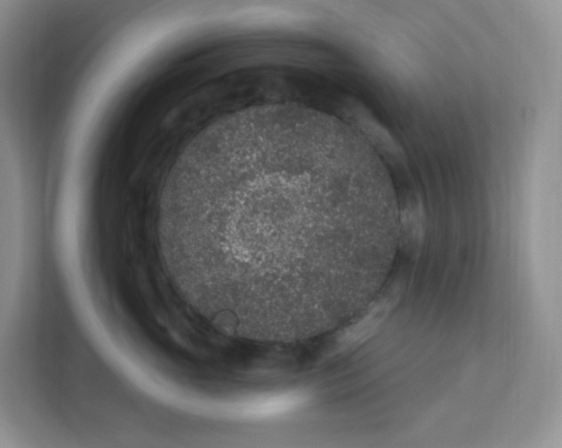 X0000111890765200908061334