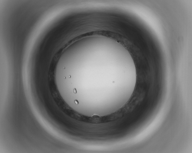 X0000111890766200908061334