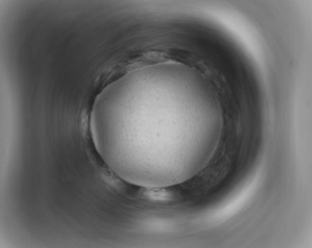 X0000111890767200908061334