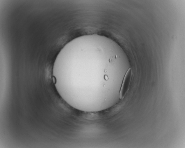 X0000111890768200908061334