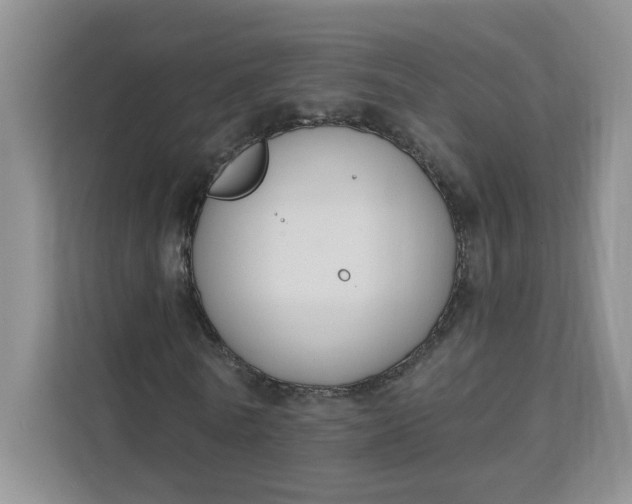 X0000111890770200908061333