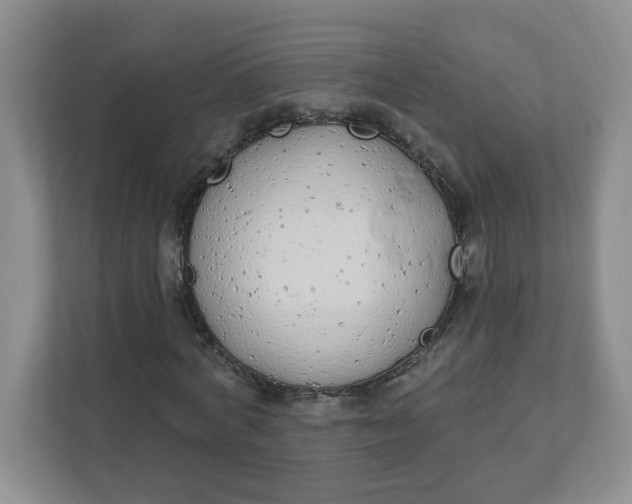 X0000111890772200908061333