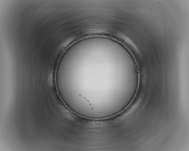 X0000111890777200908061333