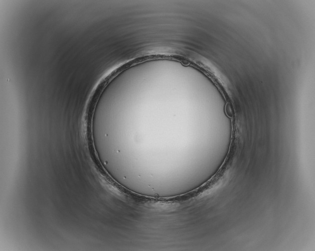 X0000111890779200908061333