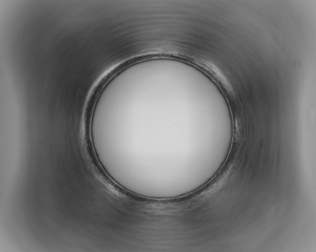 X0000111890780200908061333