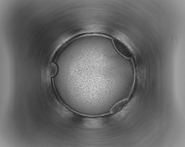 X0000111890781200908061333