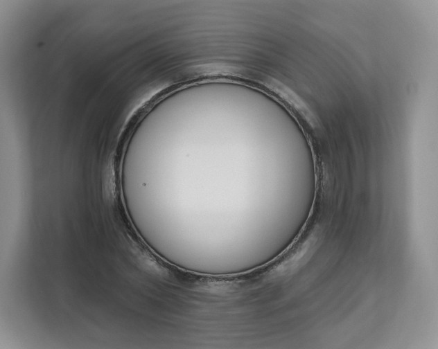 X0000111890782200908061333