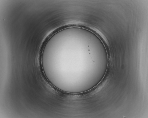 X0000111890783200908061333