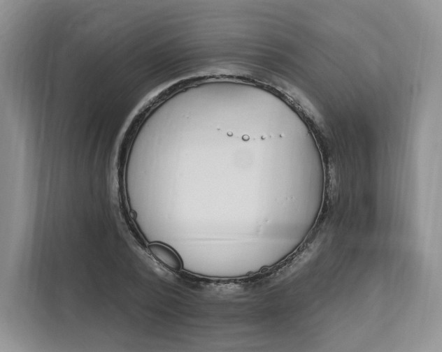 X0000111890784200908061333