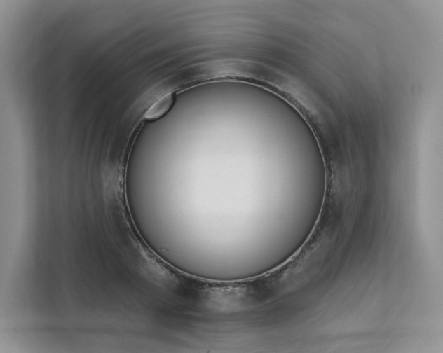 X0000111890793200908061333