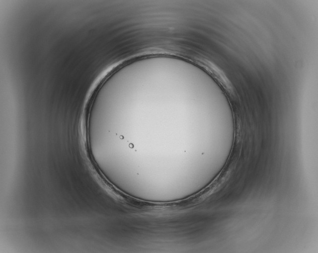 X0000111890796200908061333