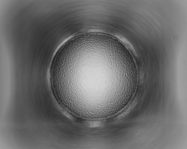 X0000111890798200908061333