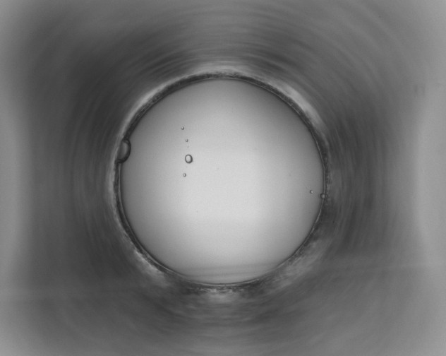 X0000111890799200908061333