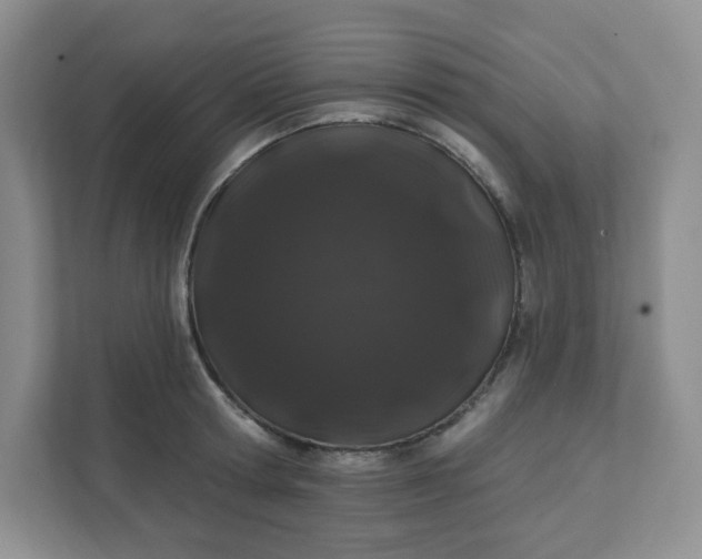 X0000111890802200908061333