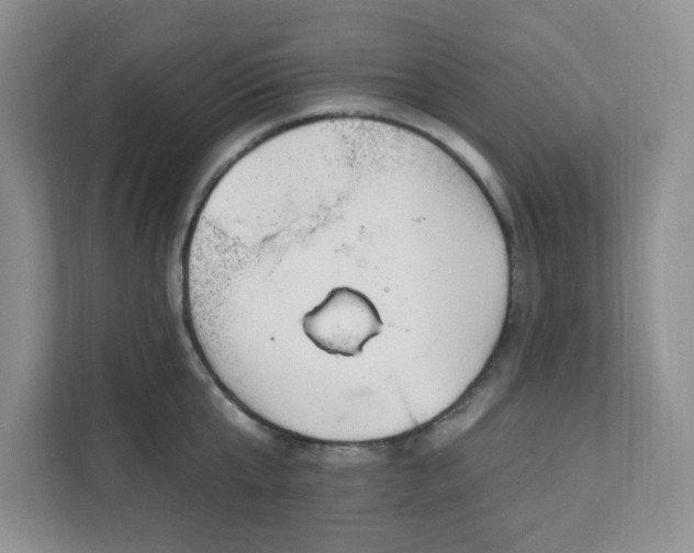 X0000111890807200908061333