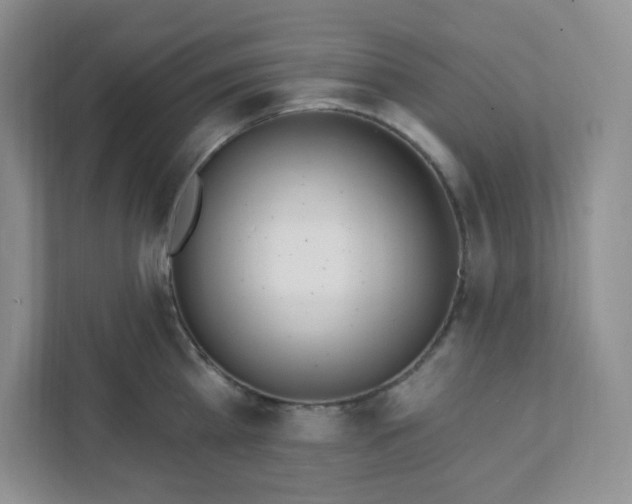 X0000111890809200908061333