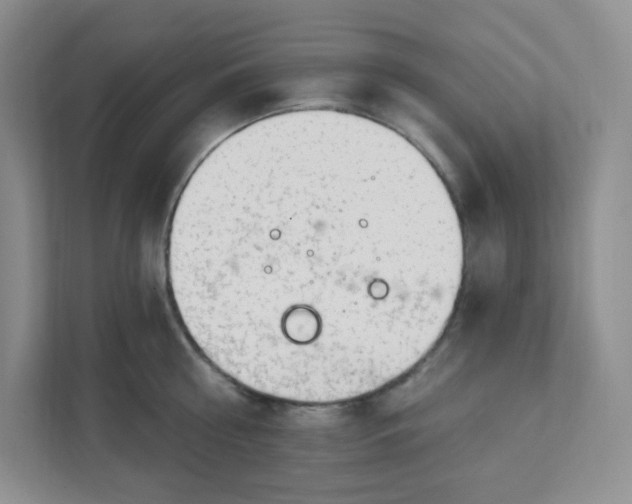 X0000111890810200908061333