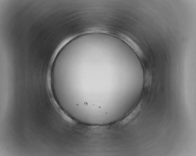 X0000111890812200908061333