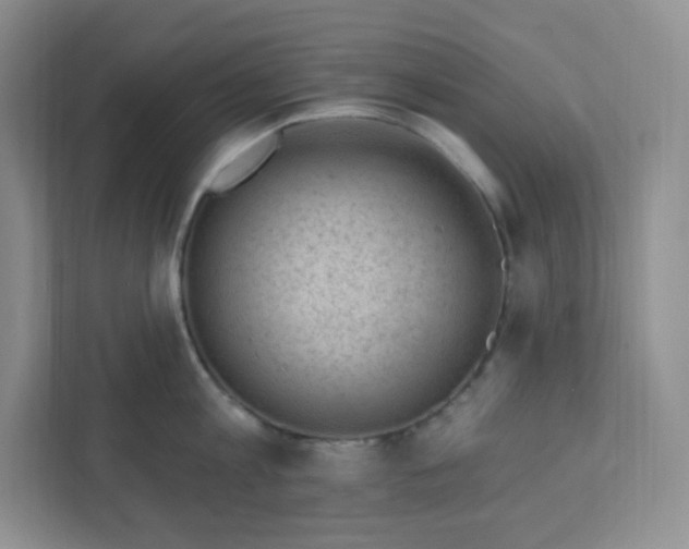 X0000111890813200908061333