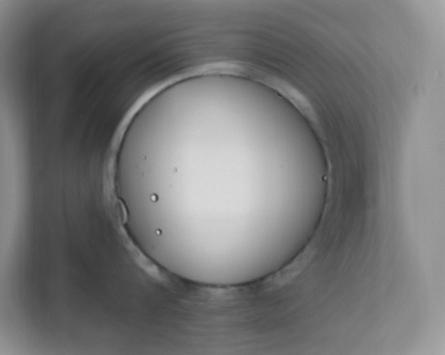 X0000111890816200908061332