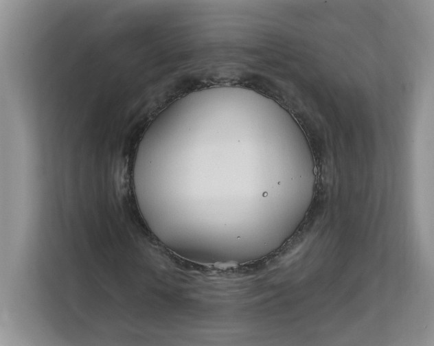 X0000111890818200908061332