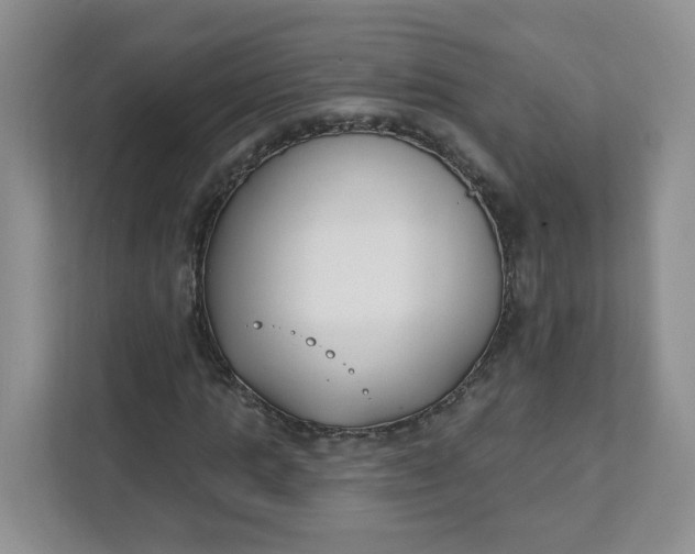 X0000111890821200908061332