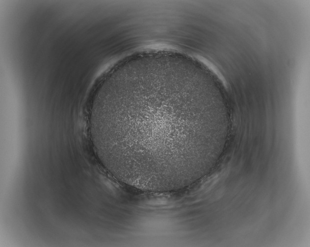 X0000111890823200908061332