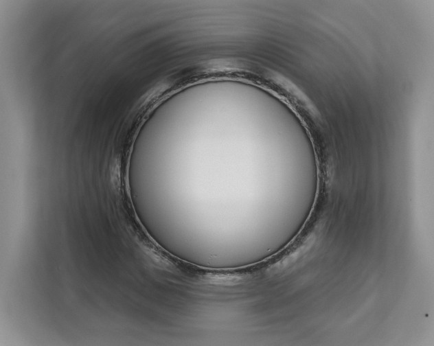 X0000111890825200908061332