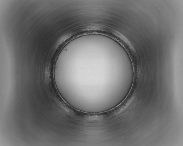 X0000111890826200908061332