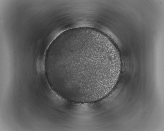 X0000111890828200908061332