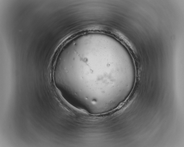 X0000111890829200908061332