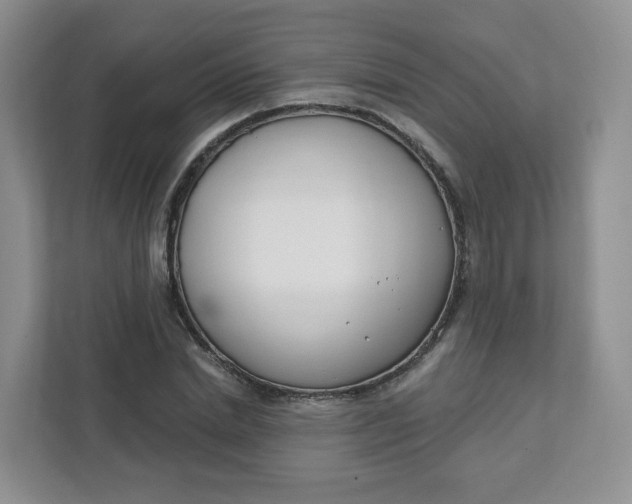 X0000111890830200908061332