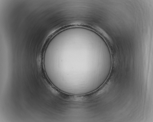 X0000111890831200908061332