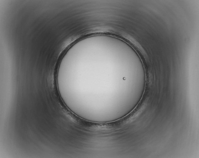 X0000111890834200908061332