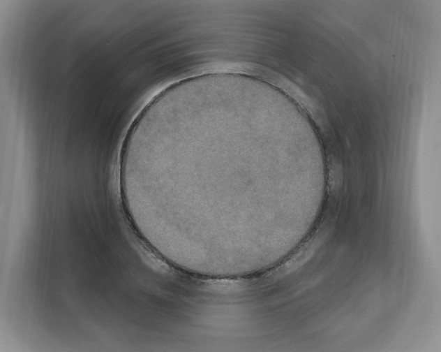 X0000111890836200908061332