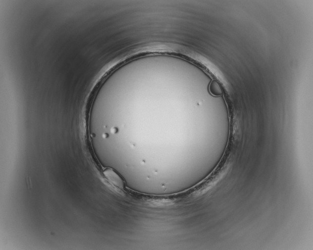 X0000111890837200908061332